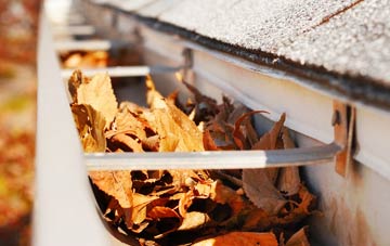 Stead gutter cleaning companies