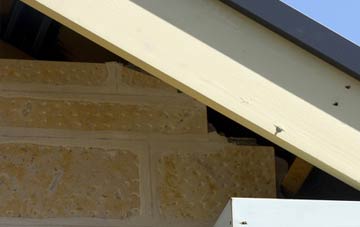 soffit repair Stead